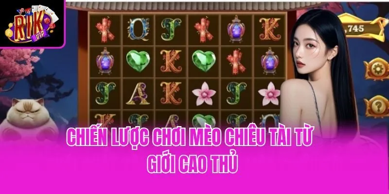 Chiến lược chơi mèo chiêu tài từ giới cao thủ