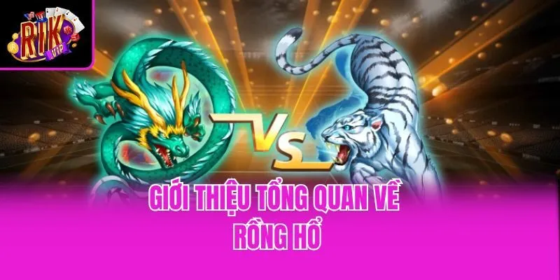 Giới thiệu tổng quan về Rồng Hổ