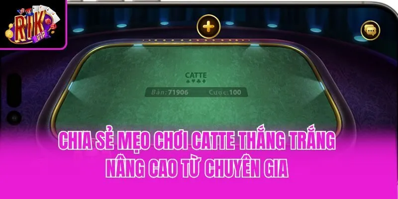 Chia sẻ mẹo chơi Catte thắng trắng nâng cao từ chuyên gia