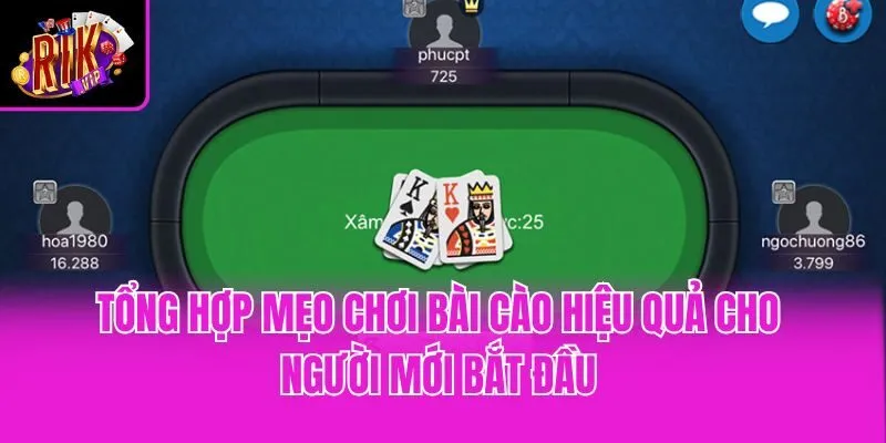 Tổng hợp mẹo chơi bài cào hiệu quả cho người mới bắt đầu